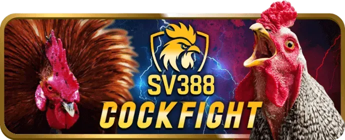 Liên hệ hỗ trợ 8sbet win về chính sách bảo mật