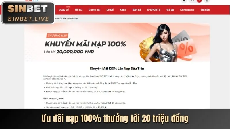 Các khuyến mãi độc quyền tại 8sbet win